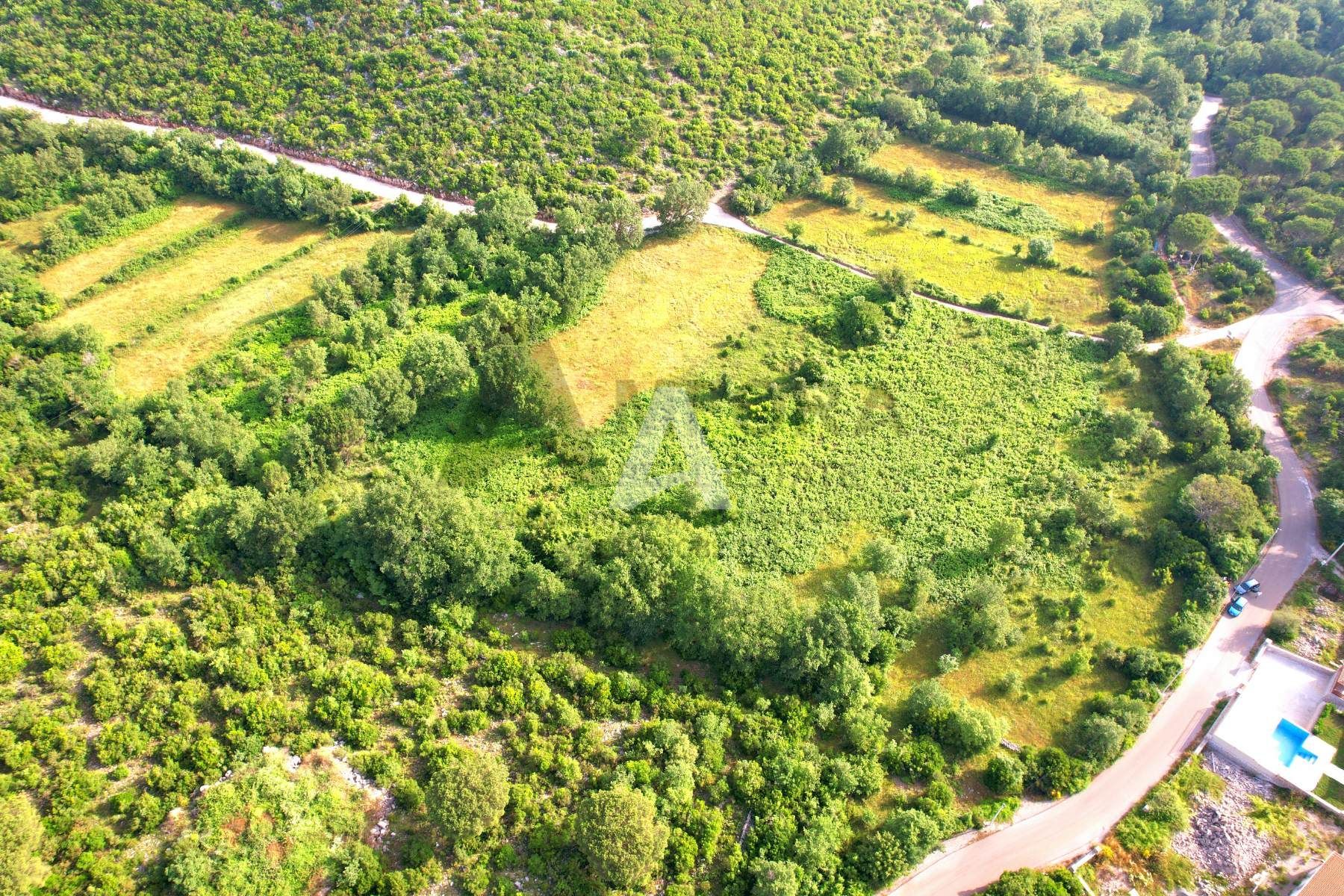 amforaproperty.com/Dva atraktivna placa ukupne povrsine 1945m2  u Zagori, opština Kotor