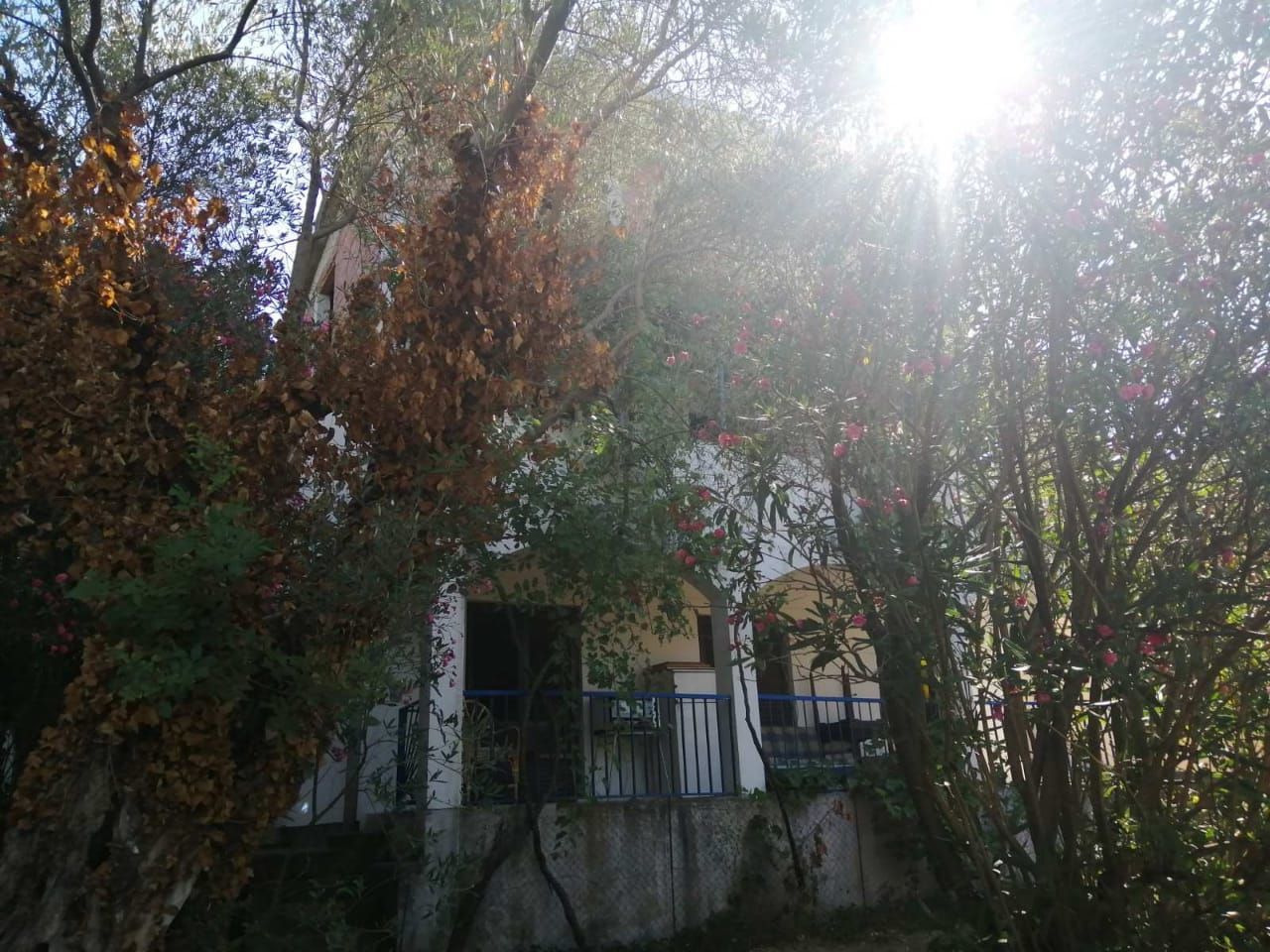 amforaproperty.com/Dve kuće s pogledom na more Kamenovo,Budva