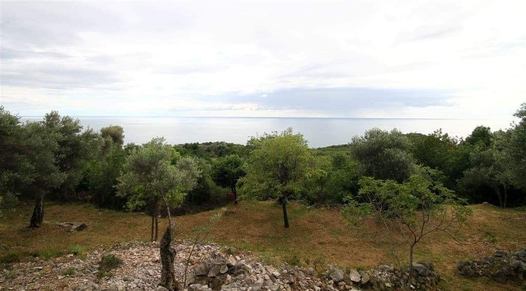 amforaproperty.com/Plac  u Drobnicima 1208m2, Opština Budva - Pogled na More