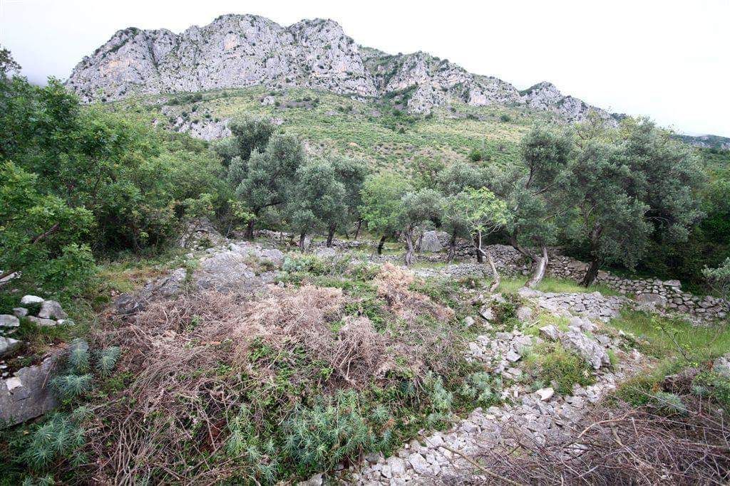 amforaproperty.com/Plac  u Drobnicima 1208m2, Opština Budva - Pogled na More