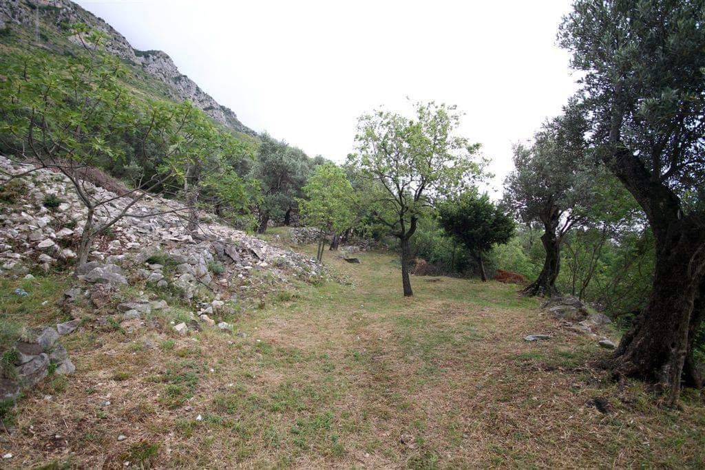 amforaproperty.com/Plac  u Drobnicima 1208m2, Opština Budva - Pogled na More