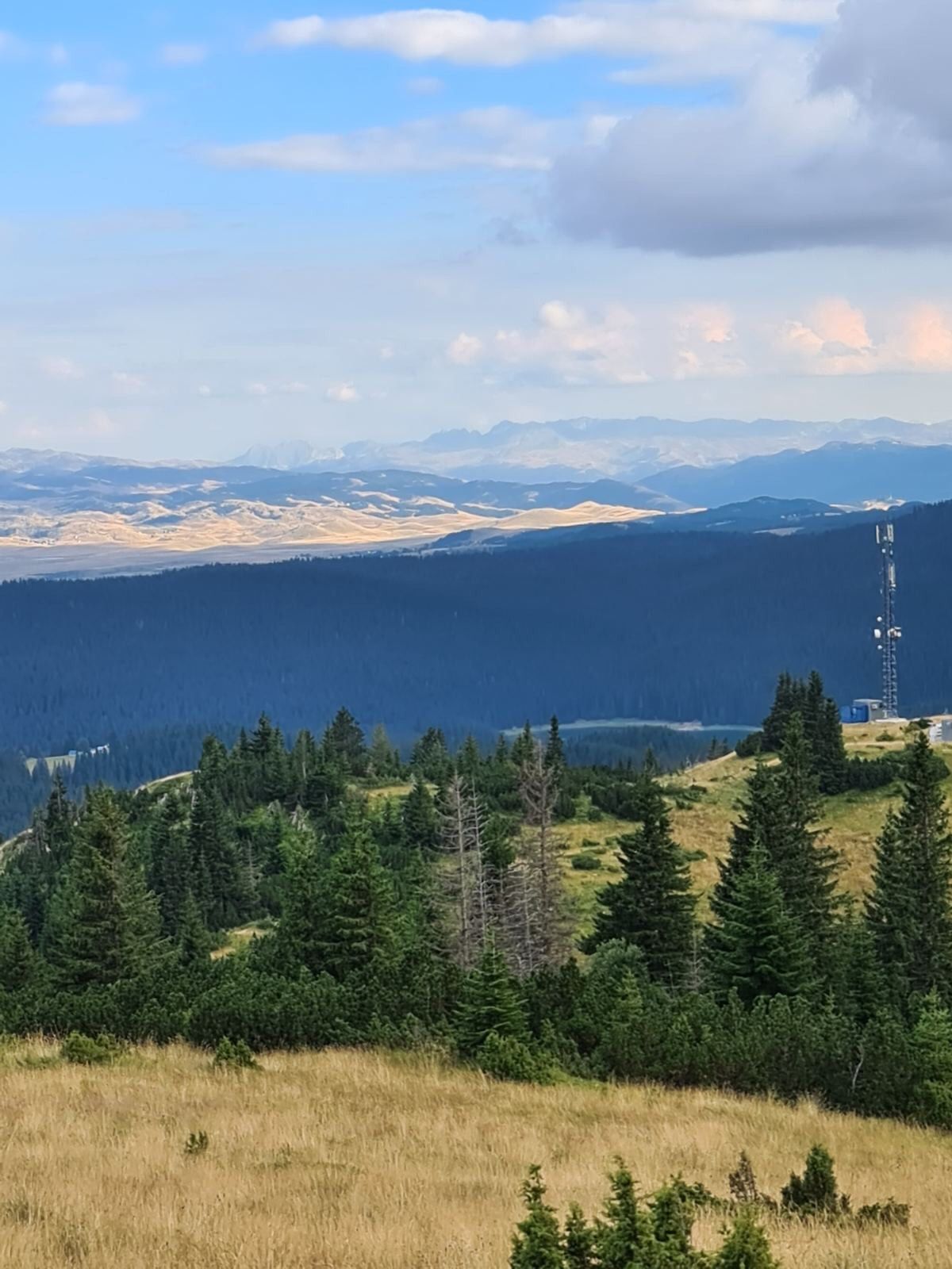 amforaproperty.com/Bosače, Žabljak- Zemljiste 40,000m2 netaknute prirode sa panoramskim pogledom