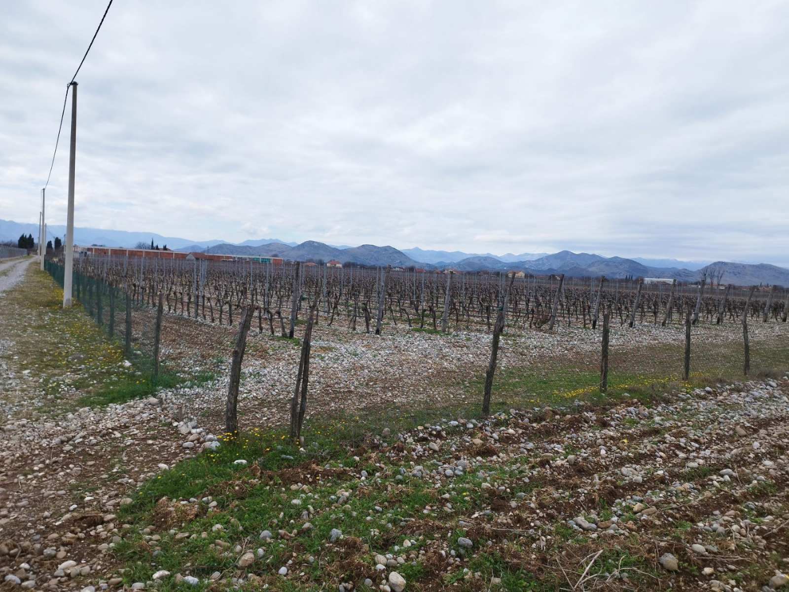 amforaproperty.com/25,000m2 Zemljišta s kućom i vinogradom, Podgorica