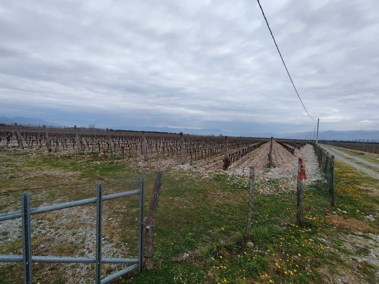 amforaproperty.com/25,000m2 Zemljišta s kućom i vinogradom, Podgorica