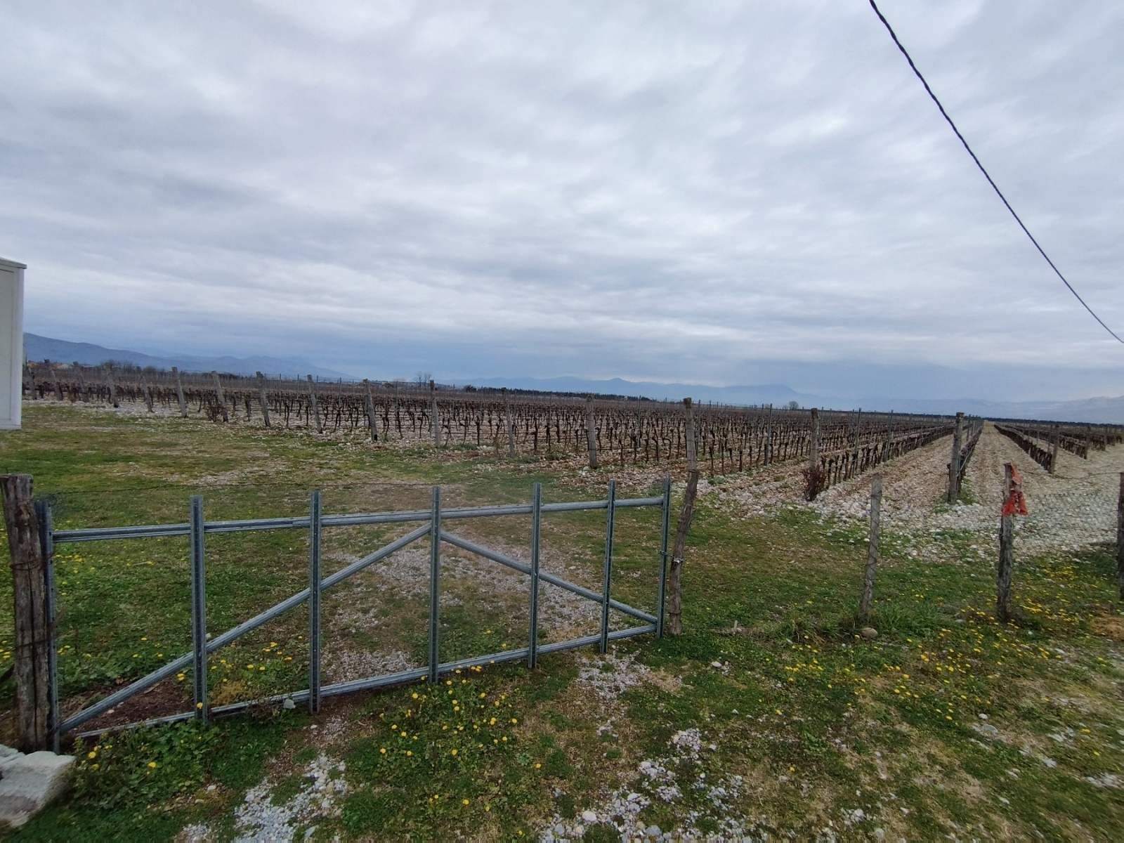 amforaproperty.com/25,000m2 Zemljišta s kućom i vinogradom, Podgorica