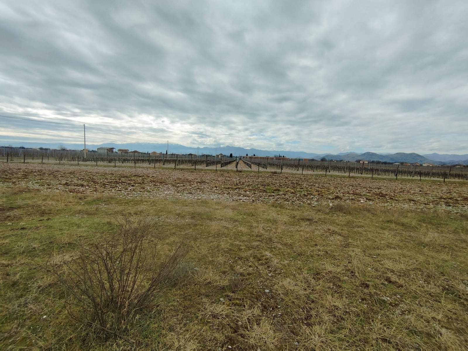 amforaproperty.com/25,000m2 Zemljišta s kućom i vinogradom, Podgorica