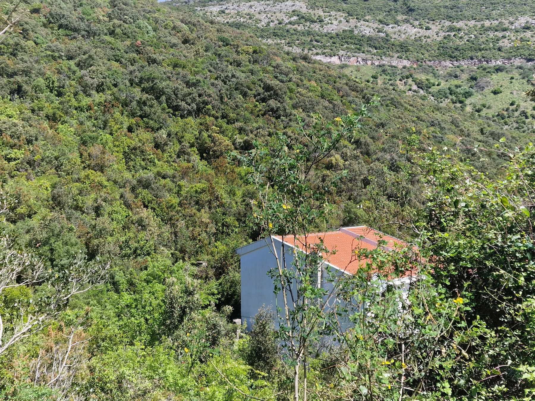 amforaproperty.com/Urbanizovano zemljište u Krimovici, Opština Kotor 3585m2