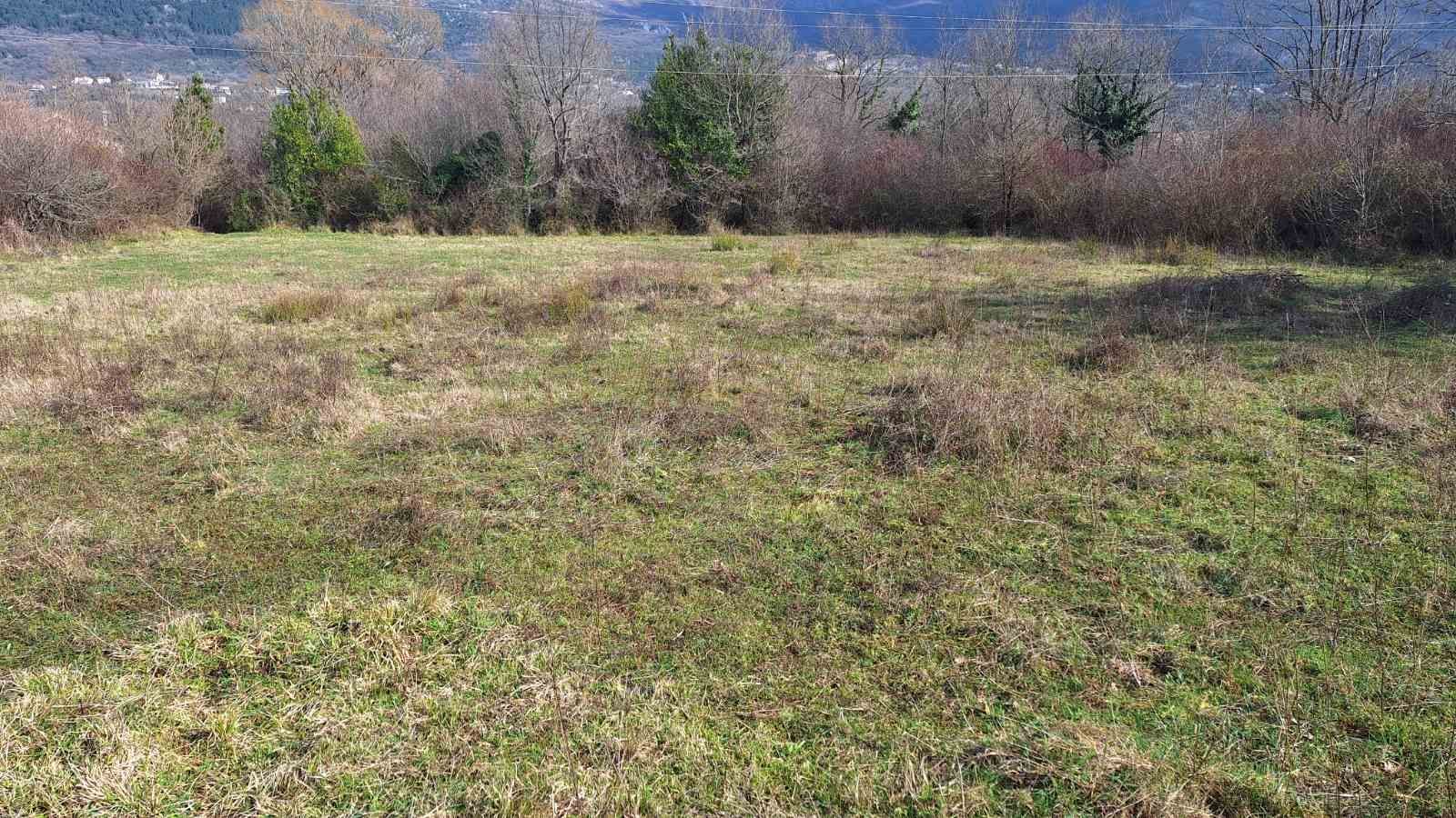 Urbanizovan plac 2976m2 Ljesevici,Kotor - Amfora Real Estate