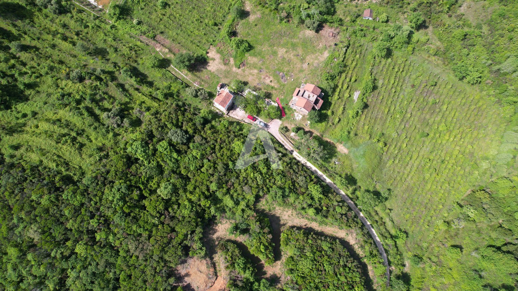 amforaproperty.com/Radanovici,Kotor-Ekskluzivno imanje od 83.000 m² sa vinogradom, jezerom i izvorskom vodom