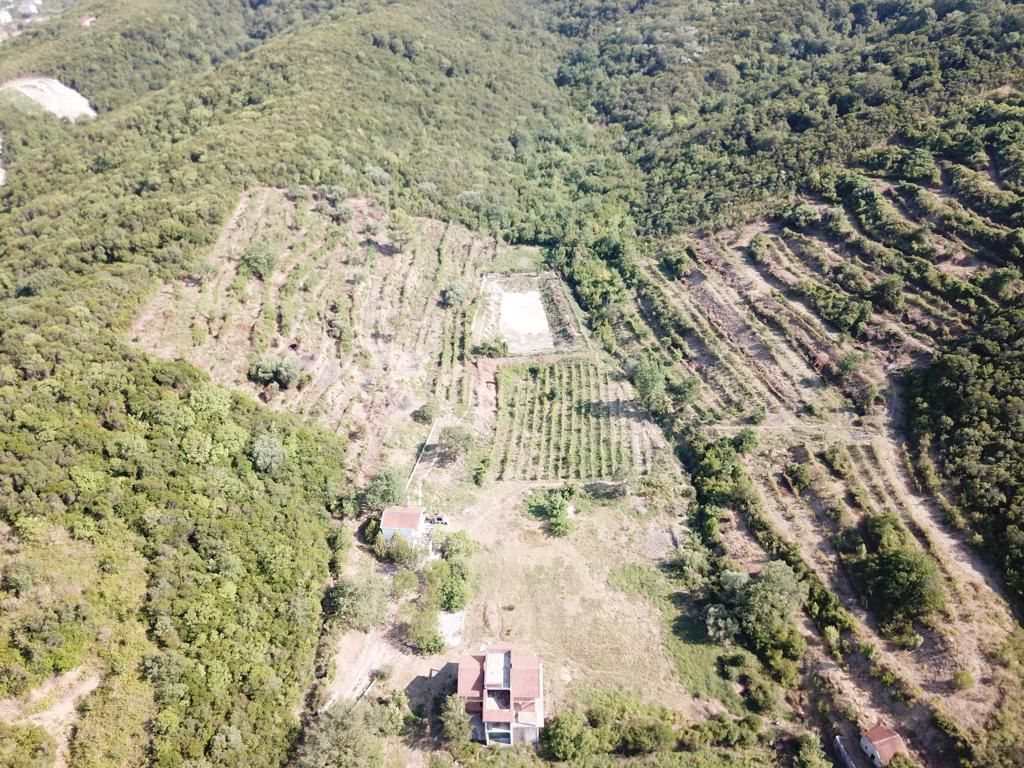 amforaproperty.com/Radanovici,Kotor-Ekskluzivno imanje od 83.000 m² sa vinogradom, jezerom i izvorskom vodom