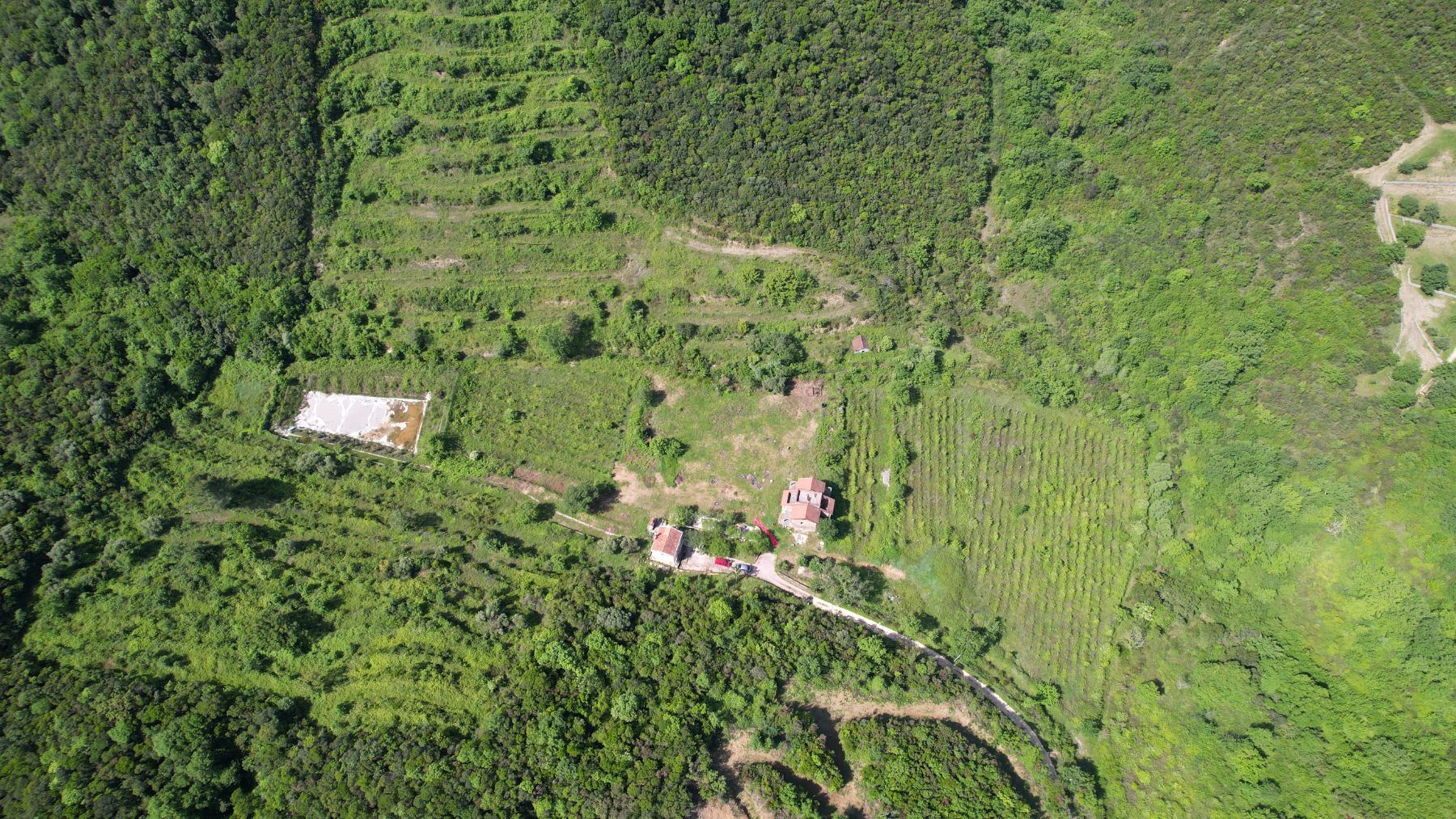 amforaproperty.com/Radanovici,Kotor-Ekskluzivno imanje od 83.000 m² sa vinogradom, jezerom i izvorskom vodom