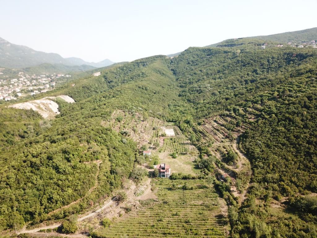 amforaproperty.com/Radanovici,Kotor-Ekskluzivno imanje od 83.000 m² sa vinogradom, jezerom i izvorskom vodom