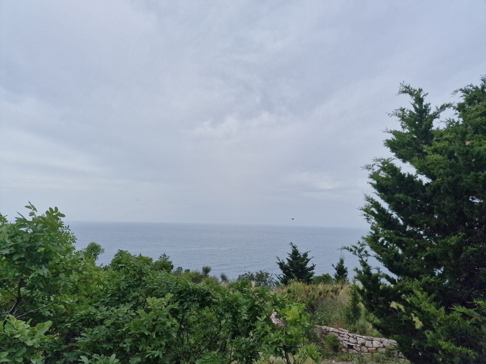 amforaproperty.com/Budva,Skočiđevojka-Kamena kuca sa bazenom i panoramskim pogledom na more
