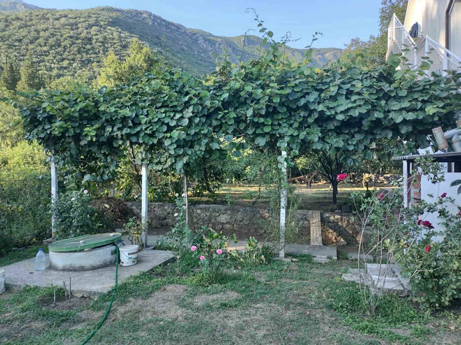 amforaproperty.com/Zelenika, Herceg Novi - Prostrana Kuća 180 m² na Placu od 2000 m²