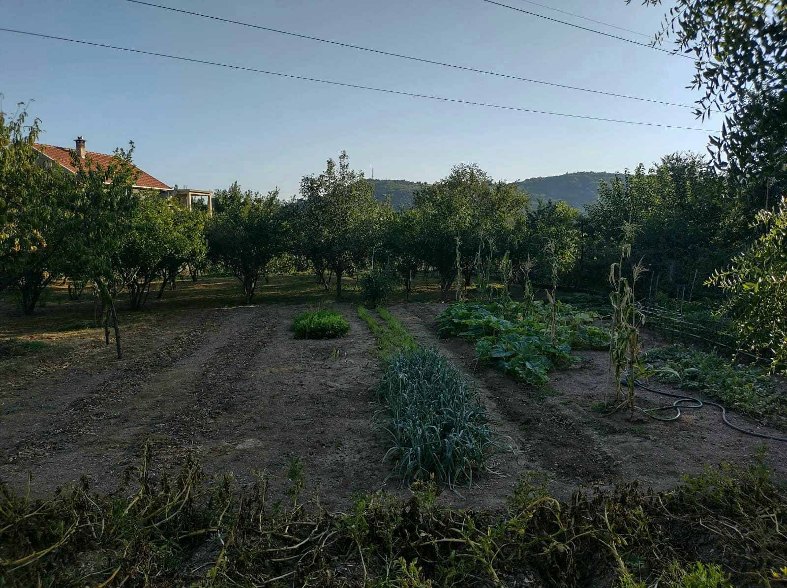 amforaproperty.com/Zelenika, Herceg Novi - Prostrana Kuća 180 m² na Placu od 2000 m²