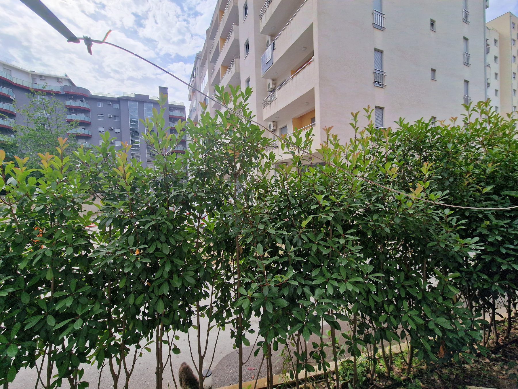 Rozino,Budva-Manji jednosoban stan 30m2  (na duzi period) - Amfora Real Estate