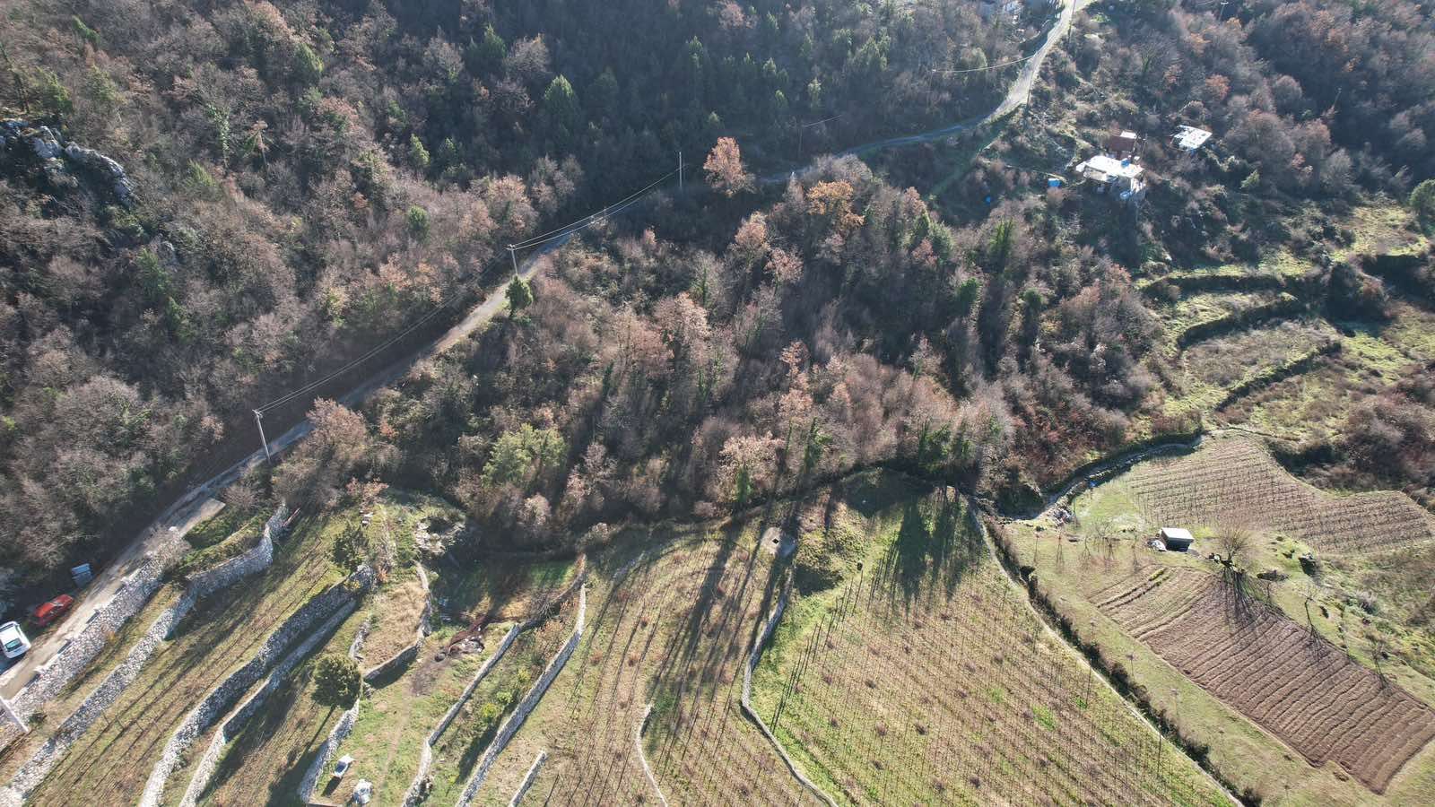 amforaproperty.com/Zemljište u Dobrskom Selu, Cetinje - 4400m²
