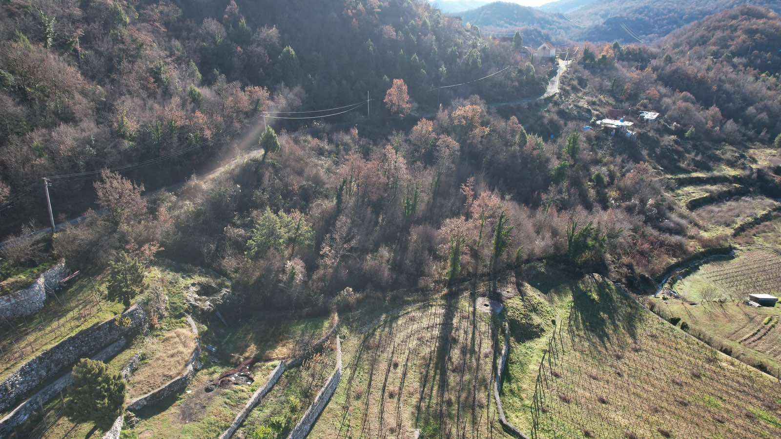 amforaproperty.com/Zemljište u Dobrskom Selu, Cetinje - 4400m²