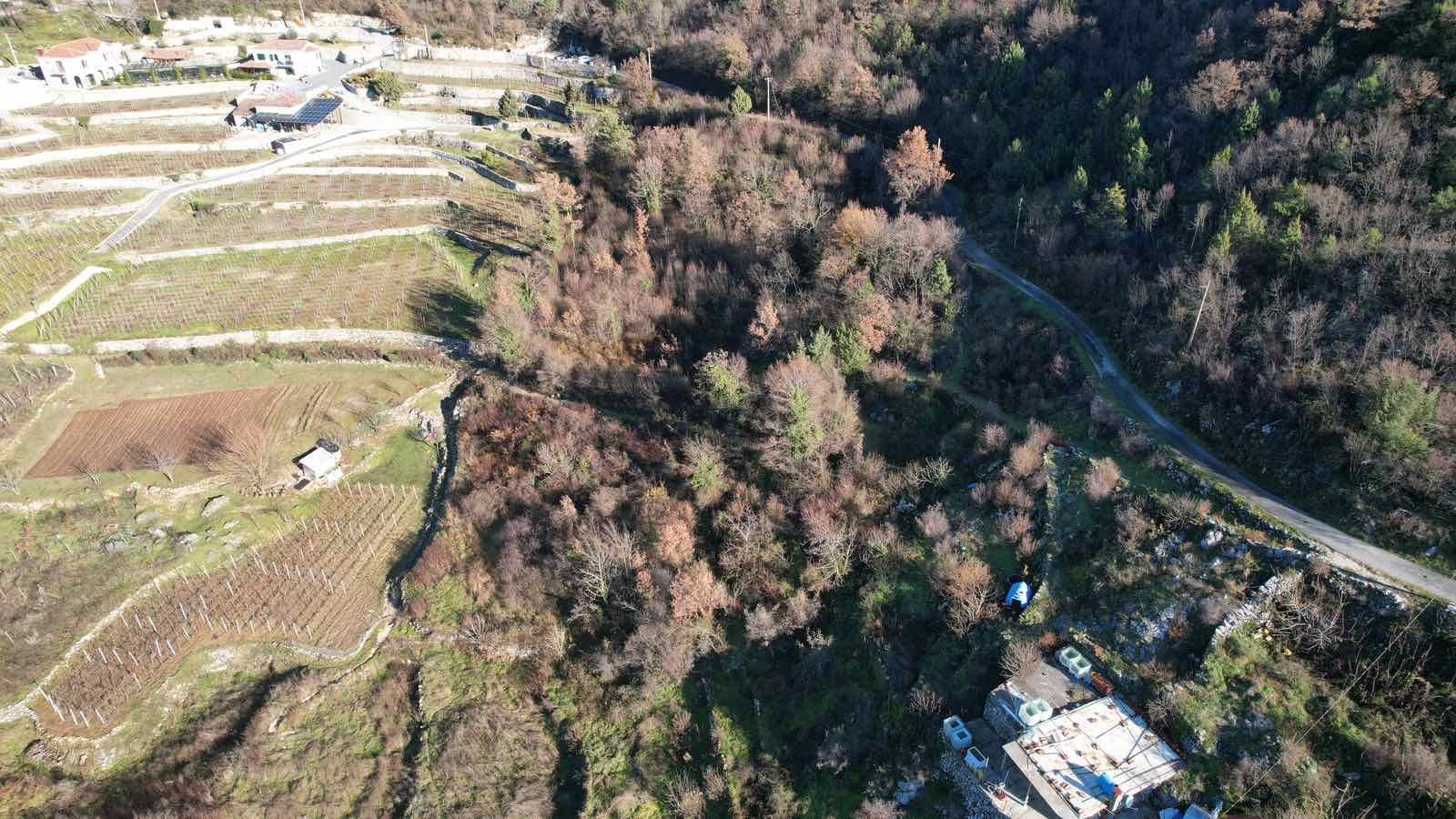 amforaproperty.com/Zemljište u Dobrskom Selu, Cetinje - 4400m²