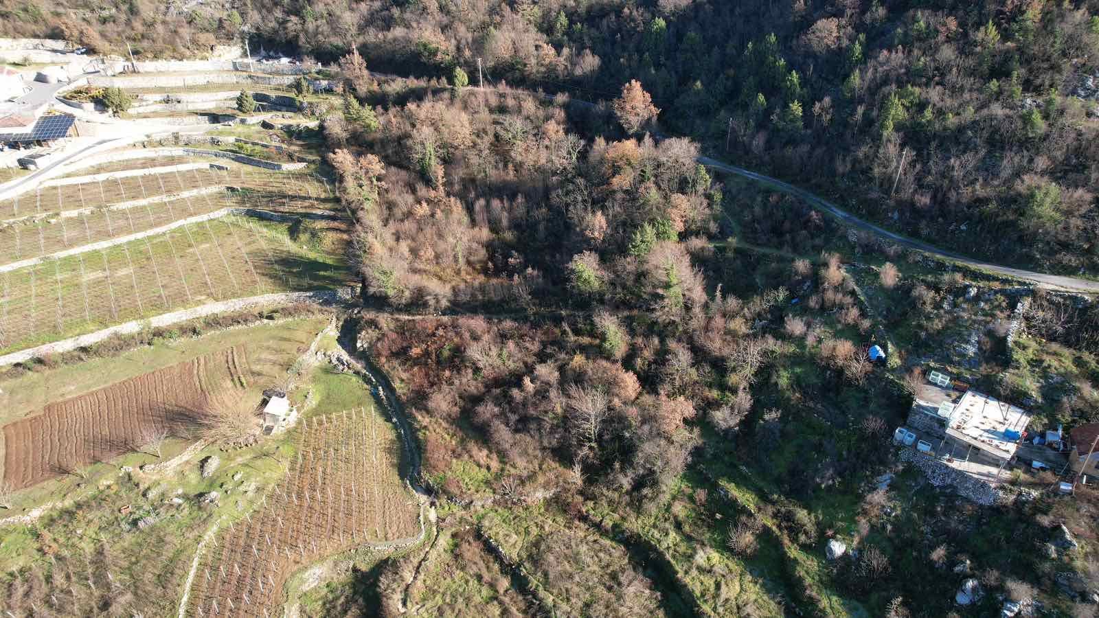 amforaproperty.com/Zemljište u Dobrskom Selu, Cetinje - 4400m²