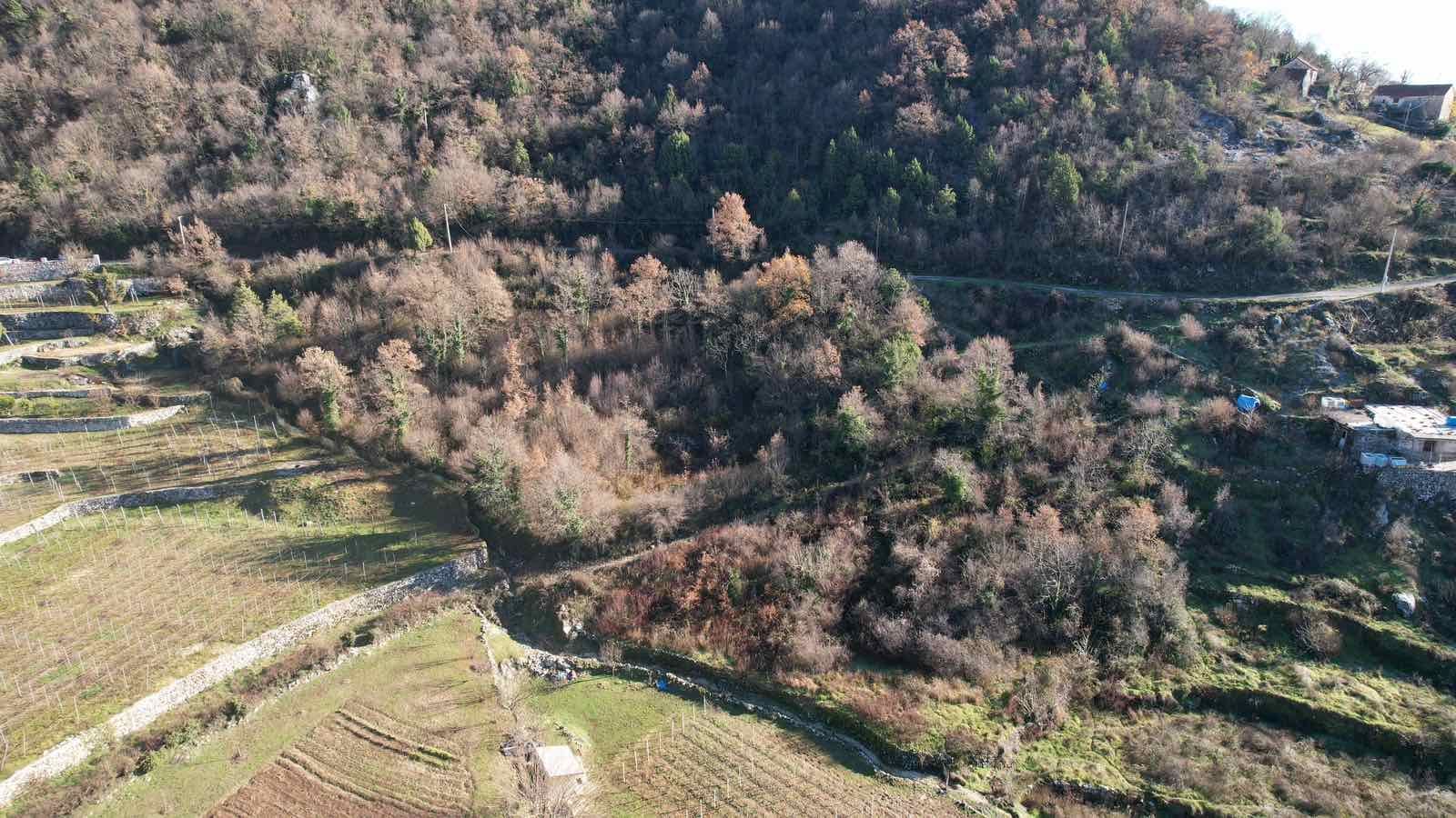 amforaproperty.com/Zemljište u Dobrskom Selu, Cetinje - 4400m²
