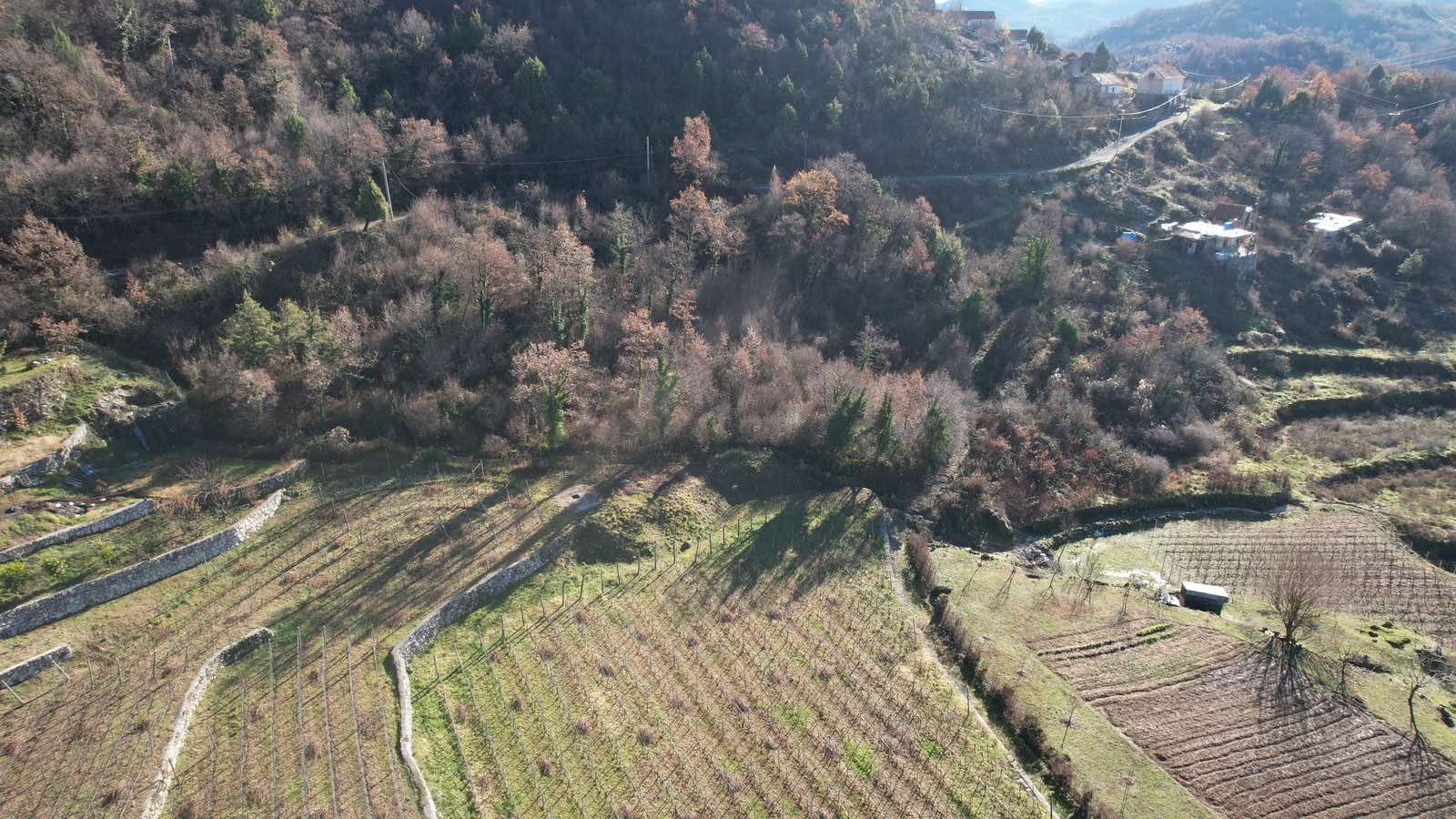 amforaproperty.com/Zemljište u Dobrskom Selu, Cetinje - 4400m²