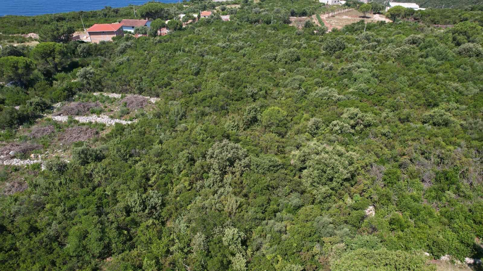 amforaproperty.com/Urbanizovan Plac na prodaju 1100m2 Zagora, opština Kotor, Crna Gora - Pogled na more