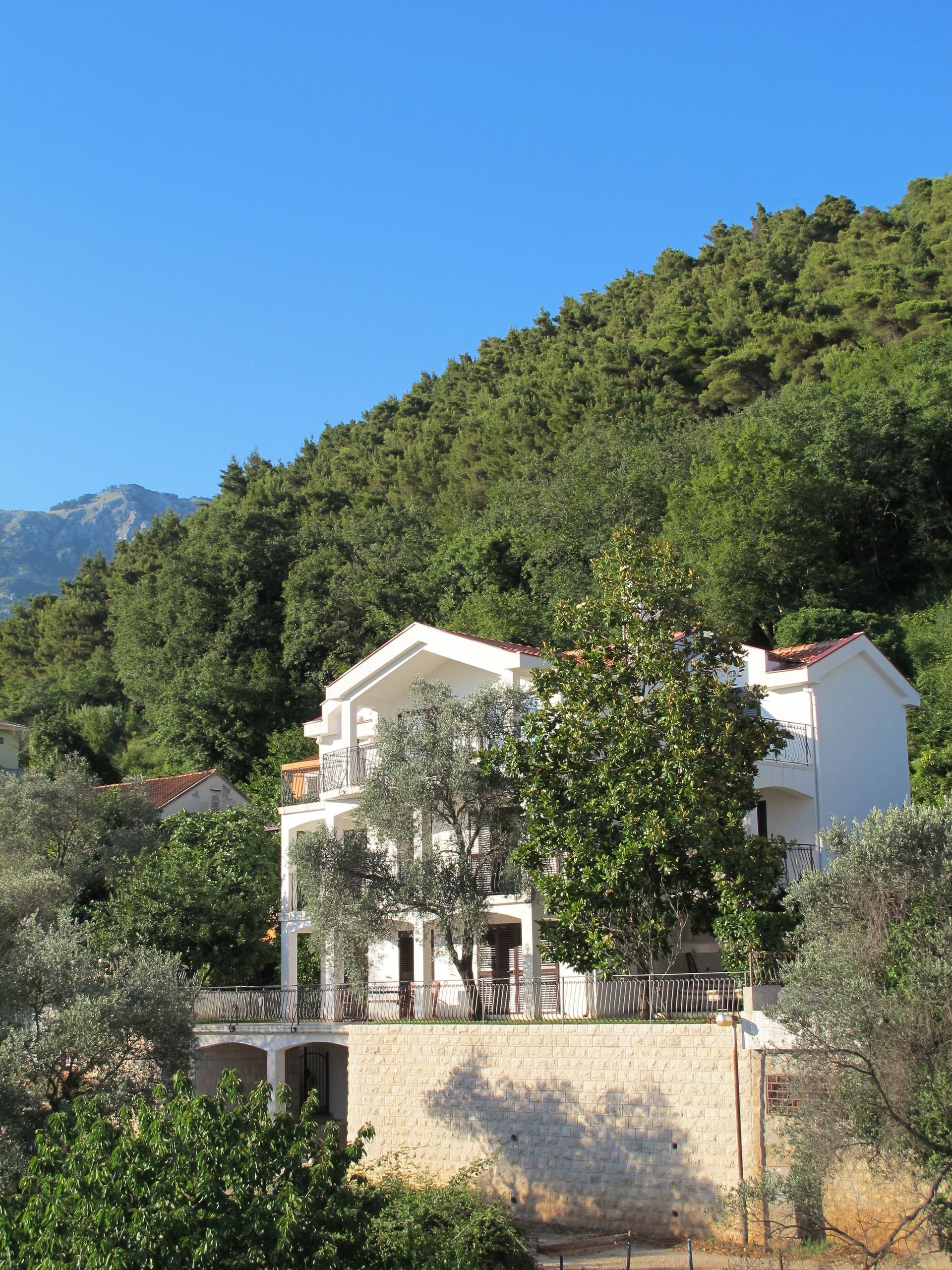 amforaproperty.com/Prodaja,Budva,Podkosljun-Ekskluzivna Vila sa pogledom na more