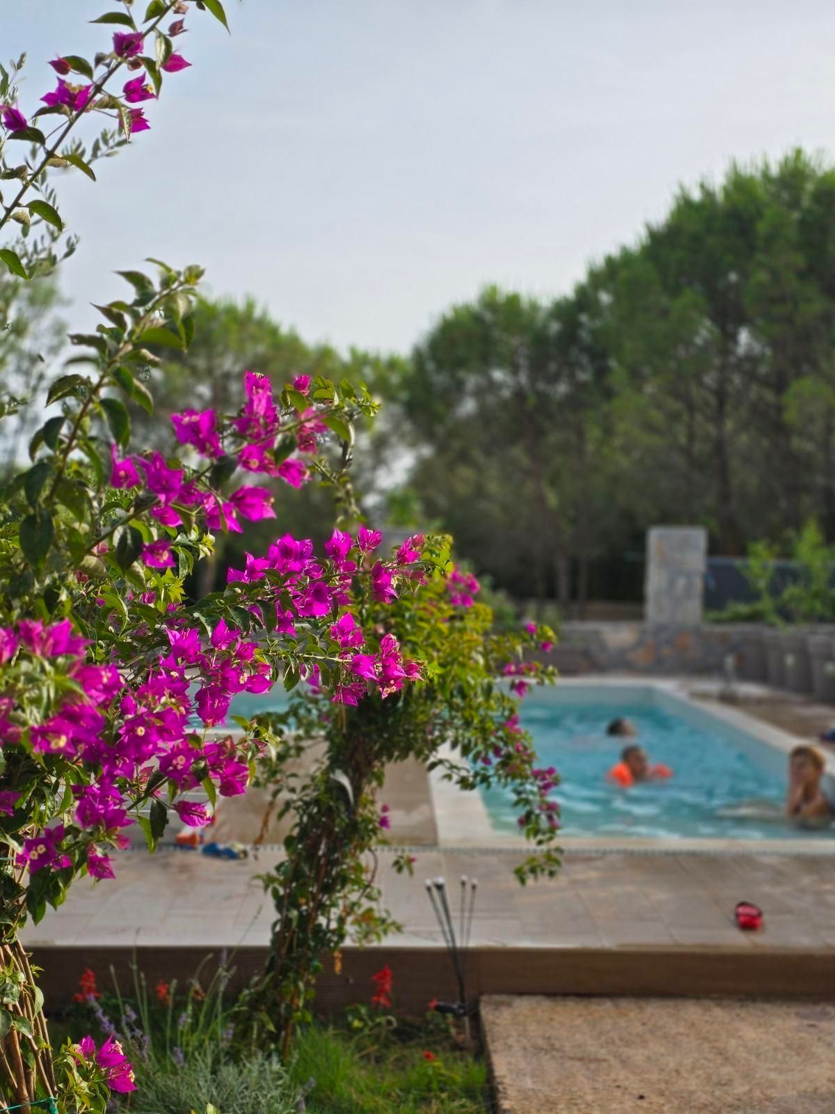 amforaproperty.com/Izdavanje,Kotor,Zagora-Ekskluzivna Vila sa Bazenom, Krovnom Terasom, Đakuzijem i Letnjom Kuhinjom (NA PERIOD OD 01.10-01.06.2025)