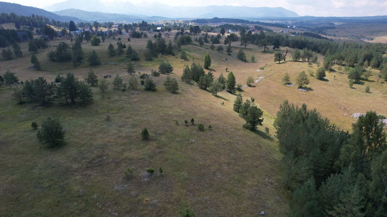 amforaproperty.com/Atraktivno Zemljište od 3000m² na 3 km od Žabljaka