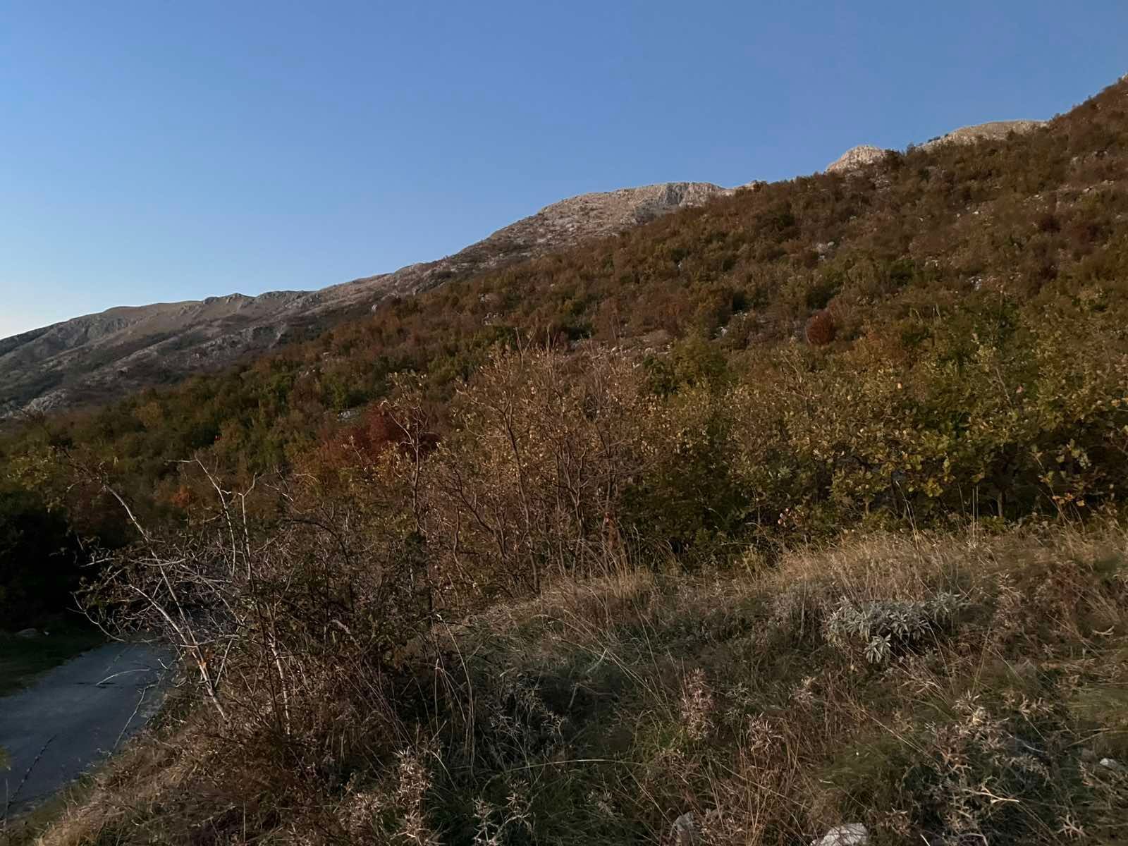 amforaproperty.com/Neurbanizovano Zemljište 42,305 m² sa Panoramskim Pogledom na More – Njeguši, Cetinje