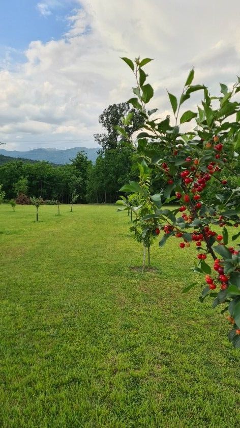 amforaproperty.com/Ekskluzivan plac od 4430 m² u centru Danilovgrada – spoj urbanog života i prirodnog okruženja