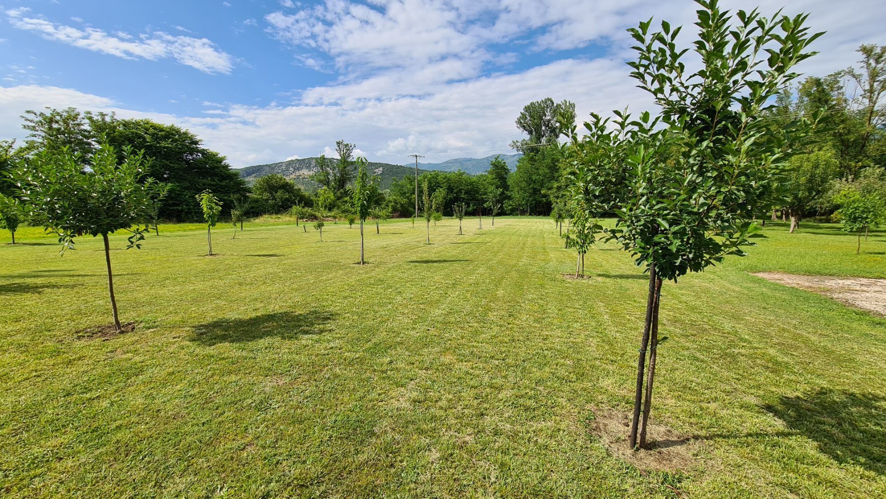 amforaproperty.com/Ekskluzivan plac od 4430 m² u centru Danilovgrada – spoj urbanog života i prirodnog okruženja