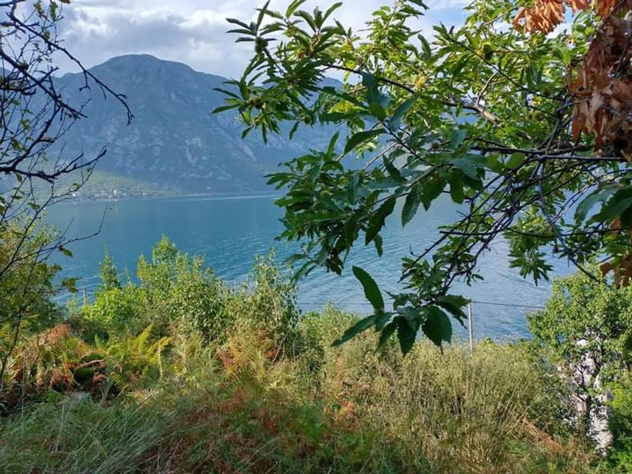 amforaproperty.com/Prodaja zemljišta u Kostanjici, Kotor – 12.433 m² uz obalu, investicija za luksuznu izgradnju