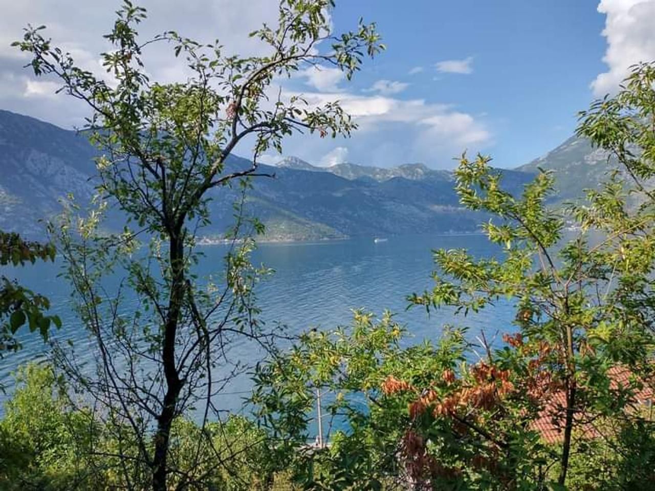 amforaproperty.com/Prodaja zemljišta u Kostanjici, Kotor – 12.433 m² uz obalu, investicija za luksuznu izgradnju