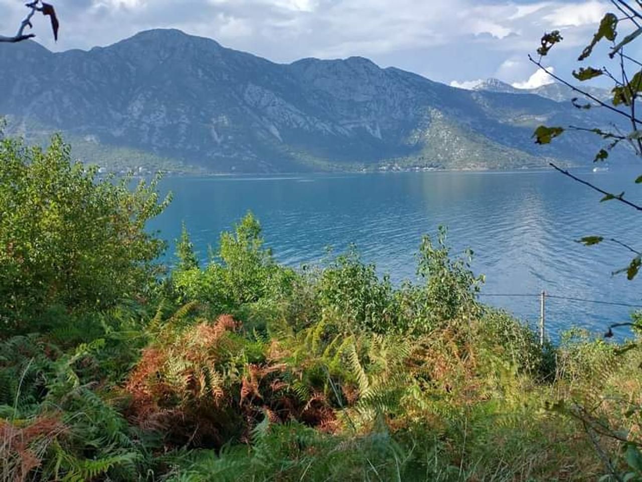 amforaproperty.com/Prodaja zemljišta u Kostanjici, Kotor – 12.433 m² uz obalu, investicija za luksuznu izgradnju