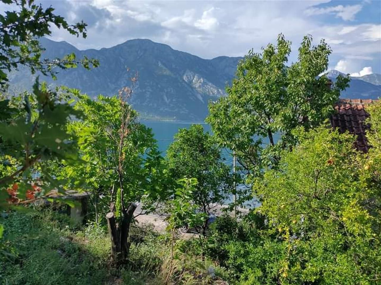 amforaproperty.com/Prodaja zemljišta u Kostanjici, Kotor – 12.433 m² uz obalu, investicija za luksuznu izgradnju