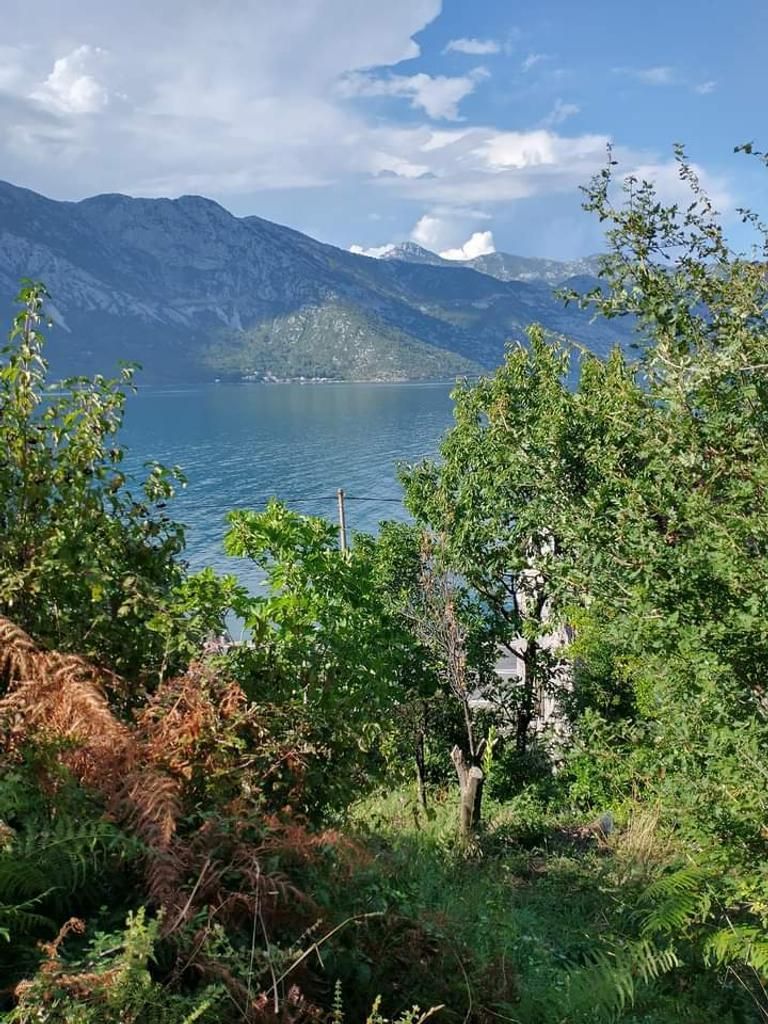 amforaproperty.com/Prodaja zemljišta u Kostanjici, Kotor – 12.433 m² uz obalu, investicija za luksuznu izgradnju