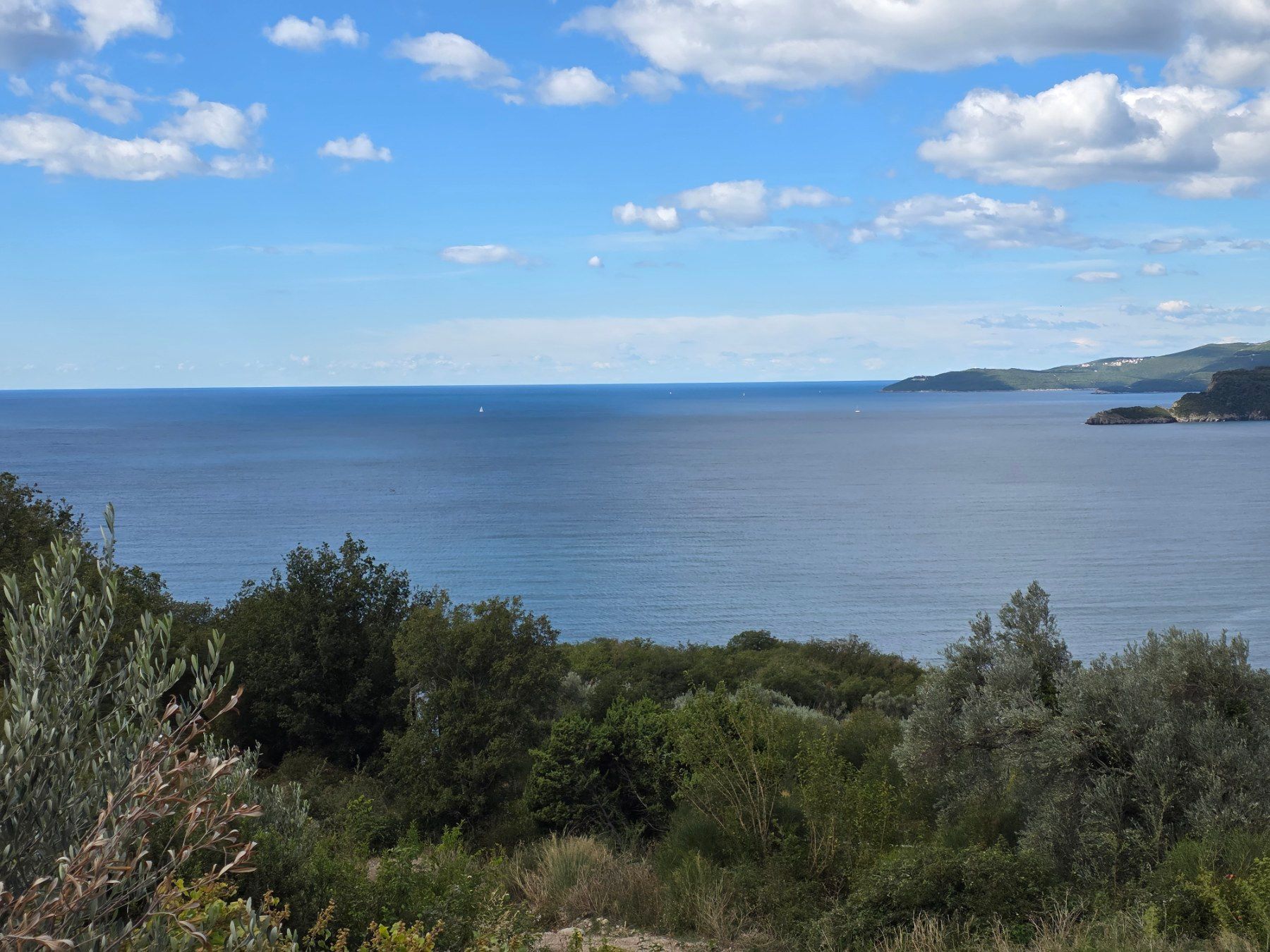 Prodaja građevinskog zemljista 2.682 m² za izgradnju 5 luksuznih vila sa pogledom na more – Blizikuće, Budva - Amfora Real Estate