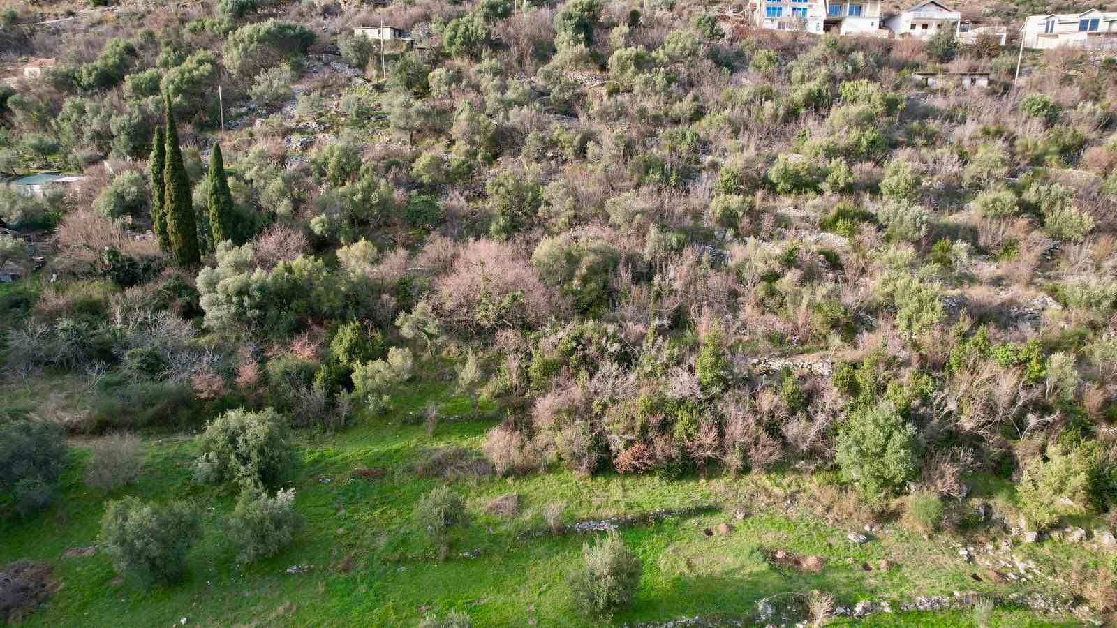 amforaproperty.com/Zemljište sa pogledom na more, 750m², Kamenari, Herceg Novi