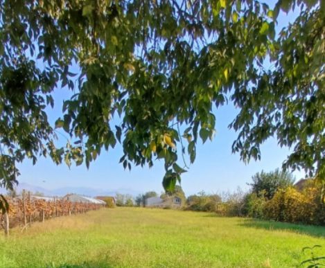 amforaproperty.com/Plac od 1850 m² u Podgorici-Grbavci