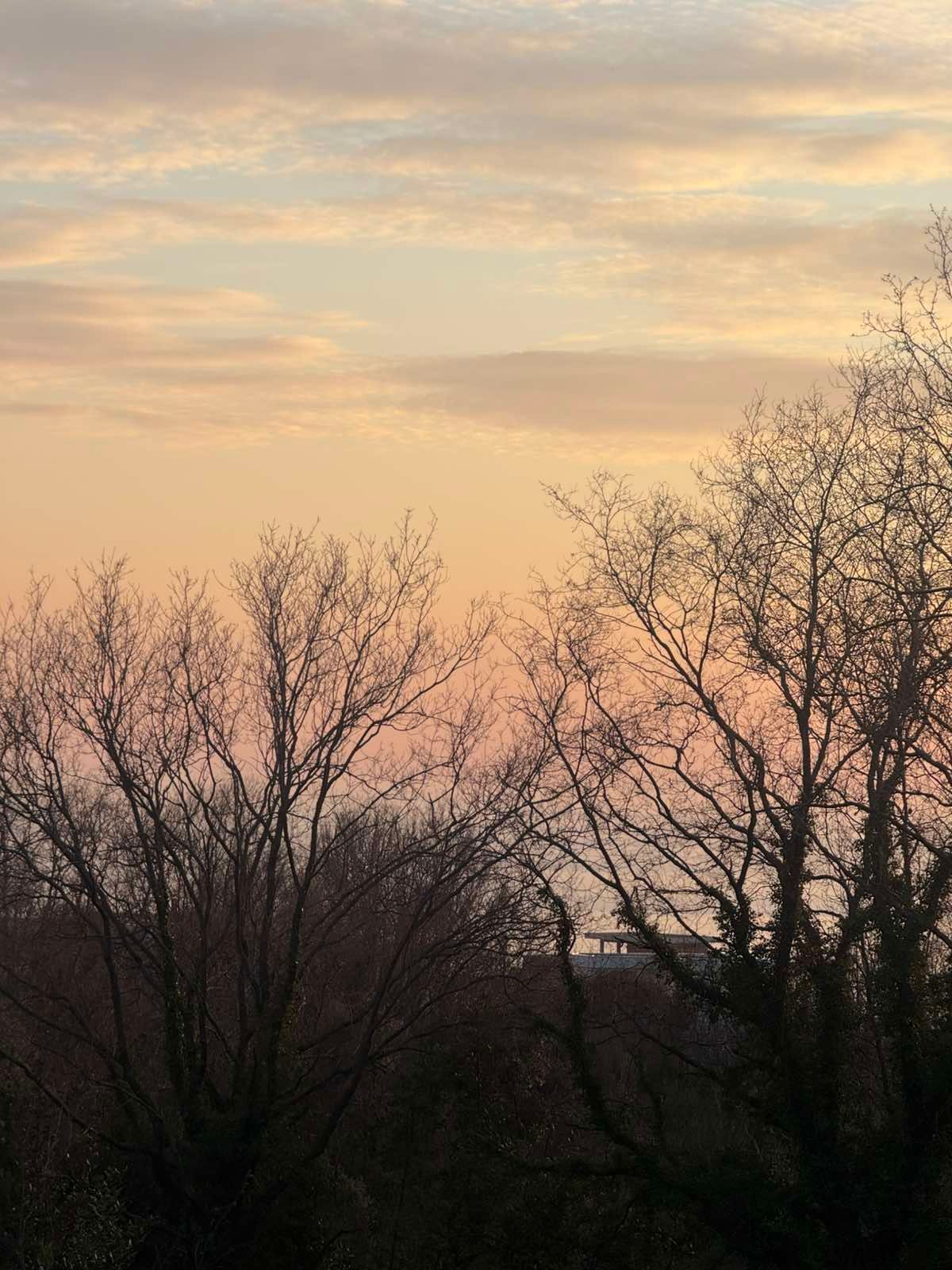 Urbanizovan plac 540m2 sa pogledom na more- Krimovica,Kotor - Amfora Real Estate