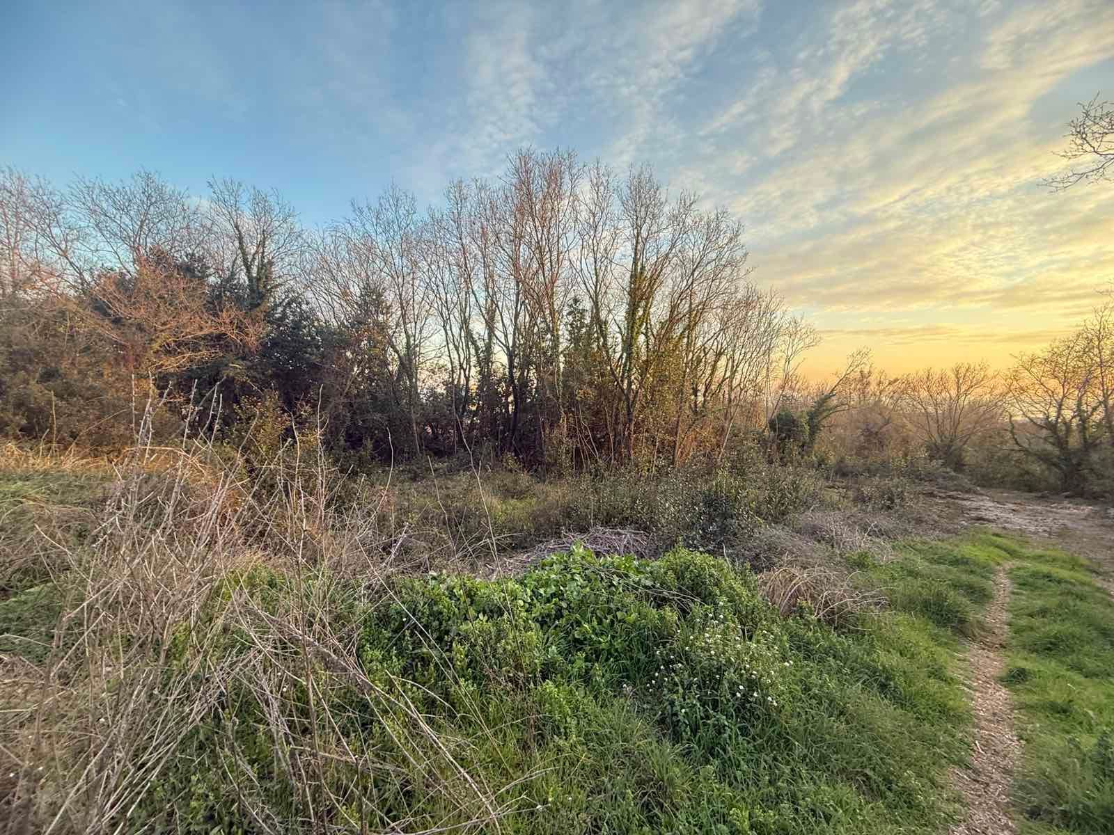 Urbanizovan plac 540m2 sa pogledom na more- Krimovica,Kotor - Amfora Real Estate