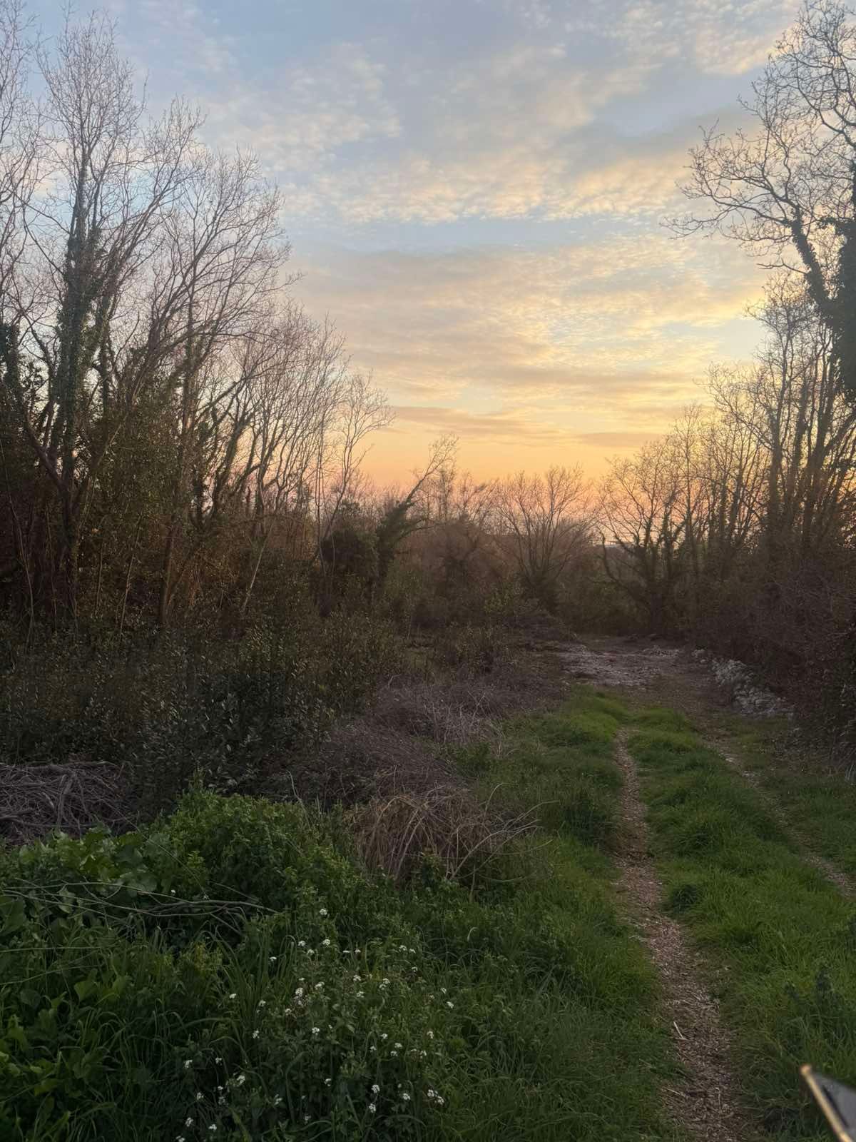 Urbanizovan plac 540m2 sa pogledom na more- Krimovica,Kotor - Amfora Real Estate