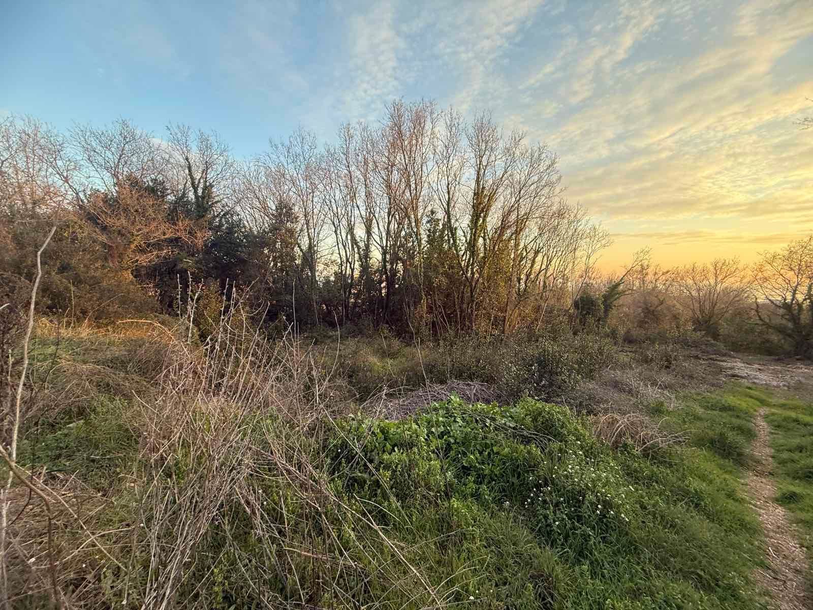 Urbanizovan plac 540m2 sa pogledom na more- Krimovica,Kotor - Amfora Real Estate