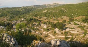 Veliko imanje 2.000.000m² – Kobilji Do, Cetinje - Amfora Real Estate