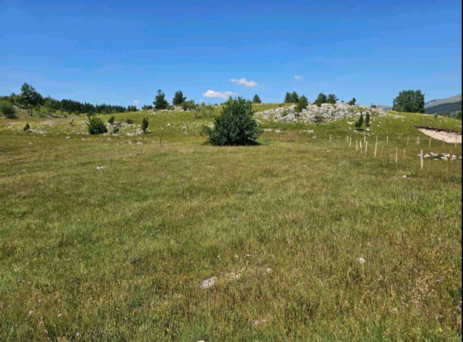 Plac 550m² sa prelepim pogledom na Durmitor – Žabljak - Amfora Real Estate
