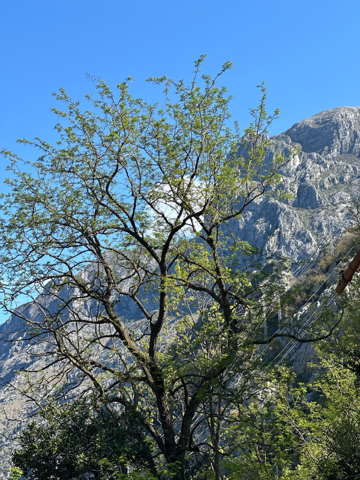amforaproperty.com/Jednosoban namesten stan sa pogledom na more i parking mestom,Skaljari-Kotor (na duzi period)