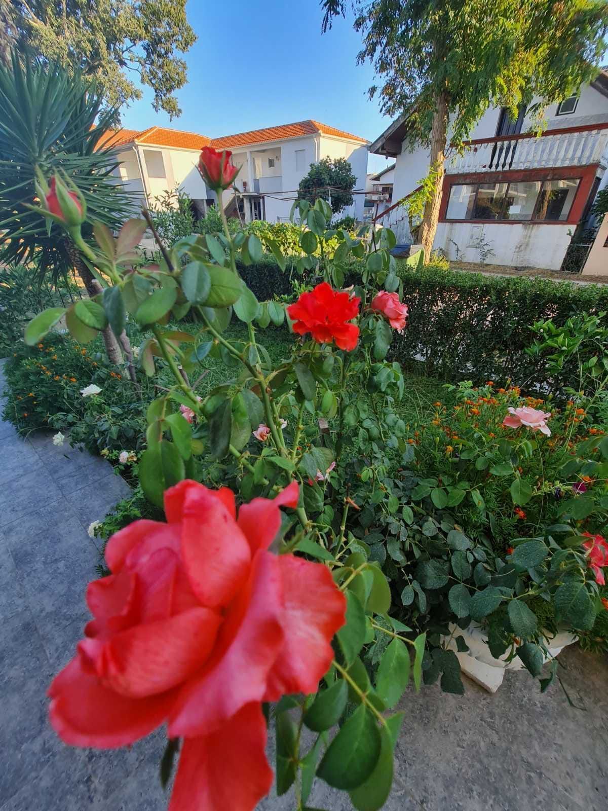 amforaproperty.com/Kompletno opremljen apartmanski objekat 920 m² sa apartmanima i restoranom – Donji Štoj, Ulcinj