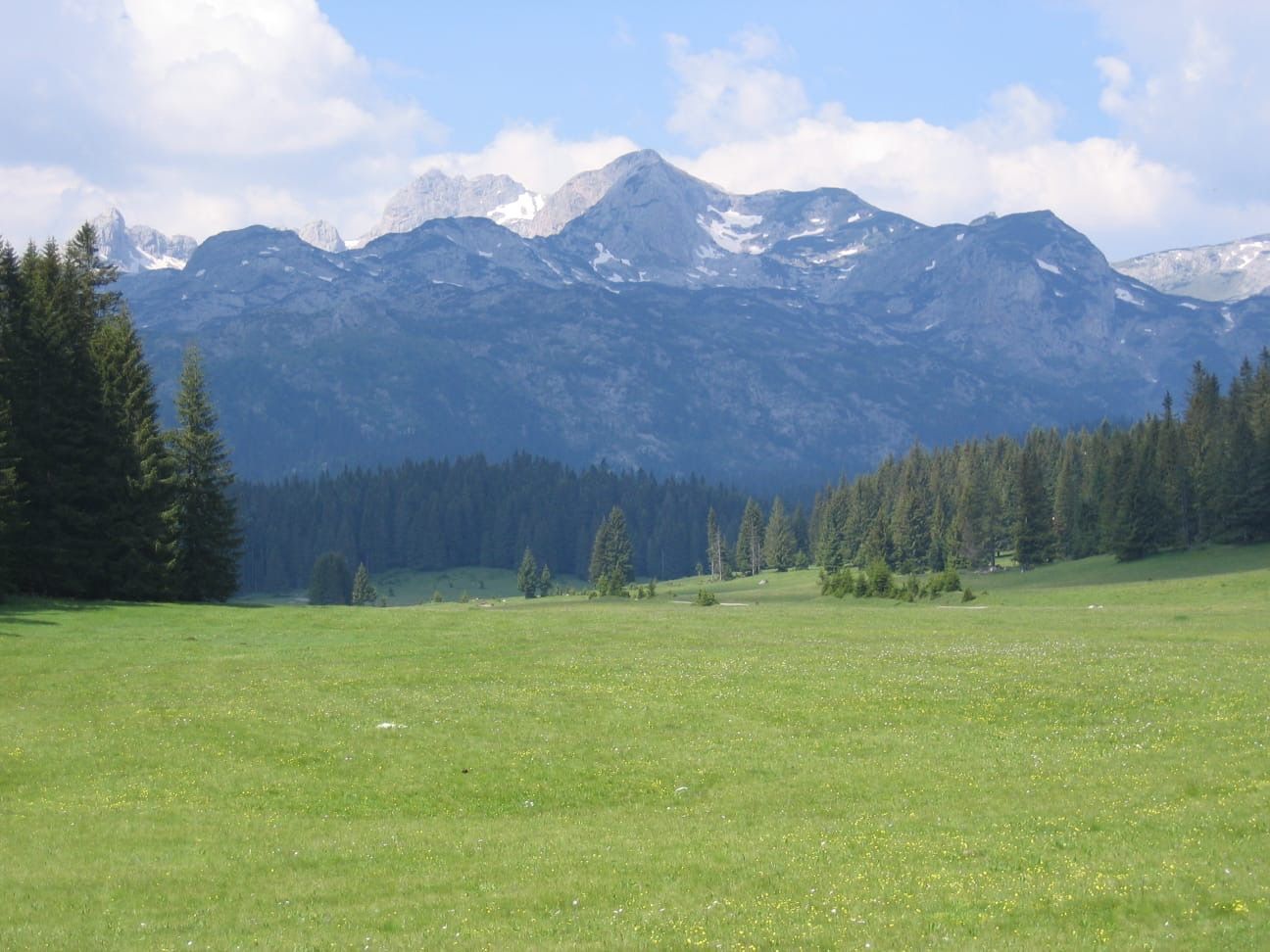 amforaproperty.com/Zemljište 6.056 m² na Macanskoj poljani, Žabljak